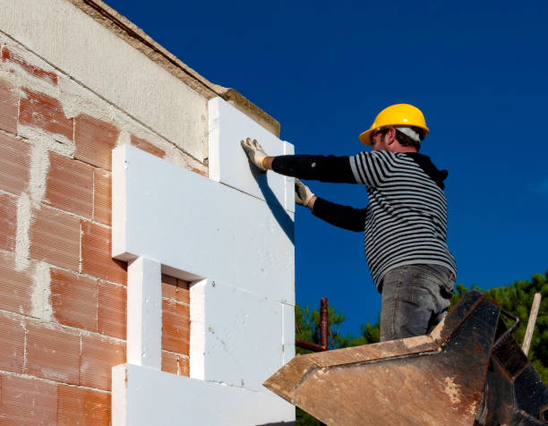Best Specialized Insulation Services in Ramsey, MN